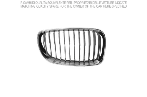 Radiator Grille