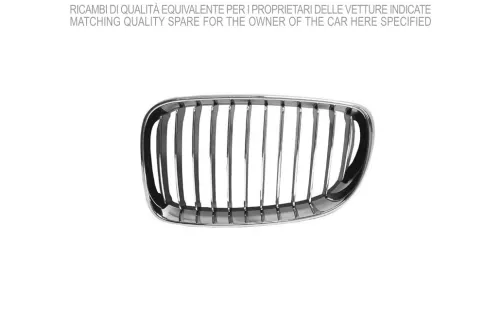 Radiator Grille