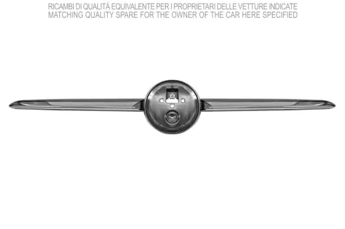 Trim/Protection Strip, bumper