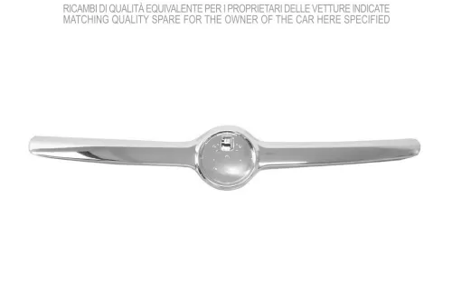 Trim/Protection Strip, radiator grille