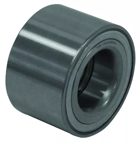 CUSCINETTO DEL MOZZO DELLA RUOTA DEL FRENO POSTERIORE