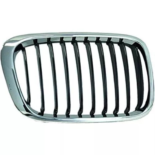 Radiator Grille