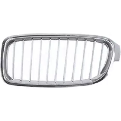 Radiator Grille