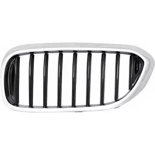 Radiator Grille