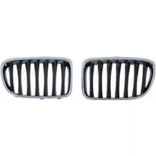 Radiator Grille