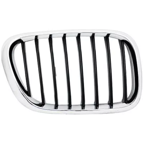 Radiator Grille