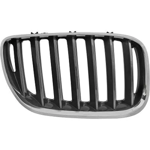 Radiator Grille
