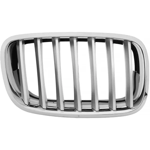 Radiator Grille