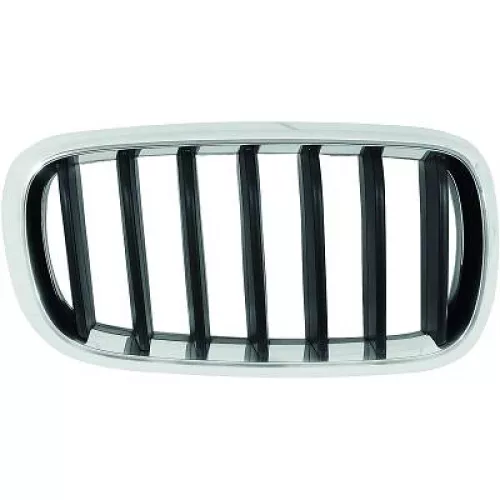 Radiator Grille