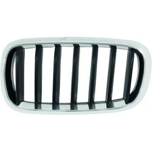Radiator Grille