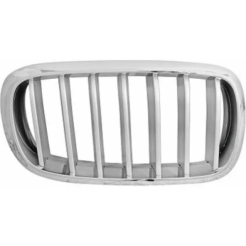 Radiator Grille