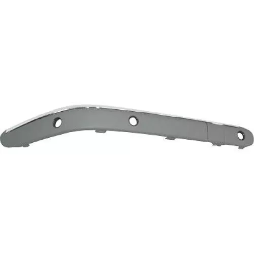 Trim/Protection Strip, bumper